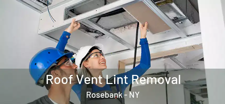 Roof Vent Lint Removal Rosebank - NY