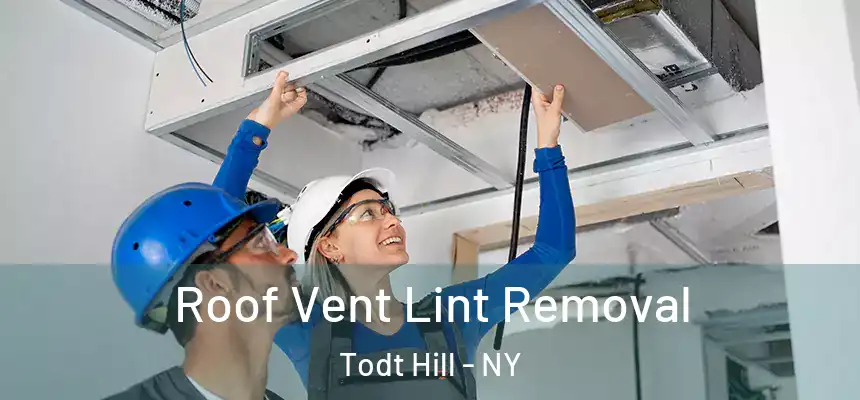 Roof Vent Lint Removal Todt Hill - NY
