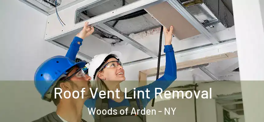  Roof Vent Lint Removal Woods of Arden - NY