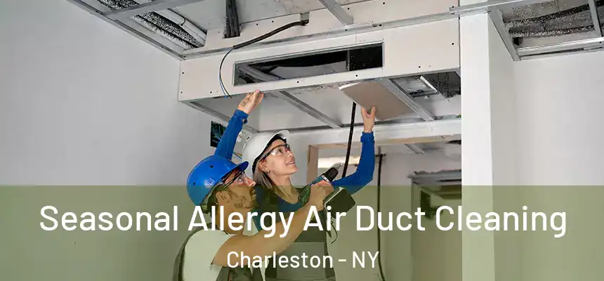 Seasonal Allergy Air Duct Cleaning Charleston - NY