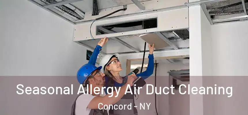  Seasonal Allergy Air Duct Cleaning Concord - NY
