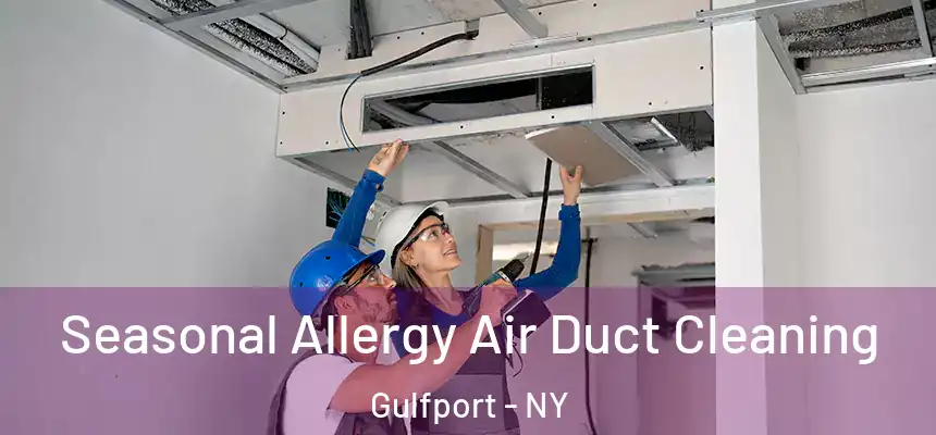 Seasonal Allergy Air Duct Cleaning Gulfport - NY