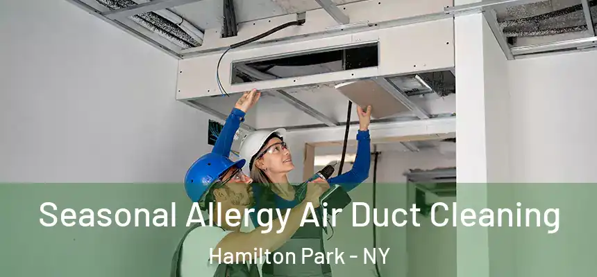 Seasonal Allergy Air Duct Cleaning Hamilton Park - NY