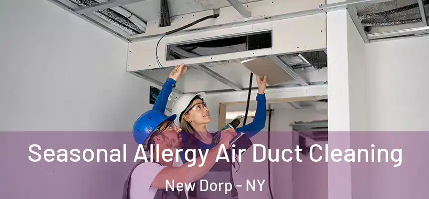Seasonal Allergy Air Duct Cleaning New Dorp - NY