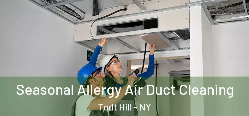 Seasonal Allergy Air Duct Cleaning Todt Hill - NY