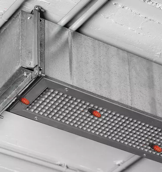About Air Duct Cockroach Removal in Staten Island, NY
