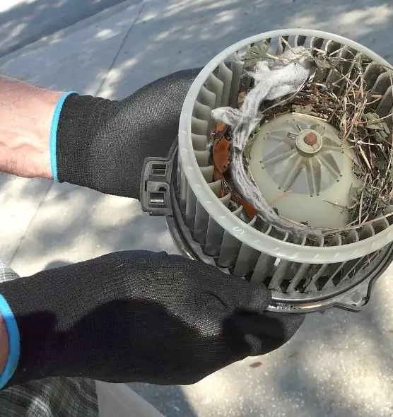 About Air Duct Mice Removal in Staten Island, NY