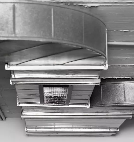 Professional Air Duct Pet Hair Removal in Bloomfield, NY