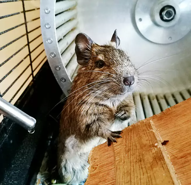 Why Homeowners & Businesses Trust Us Dongan Hills, NY