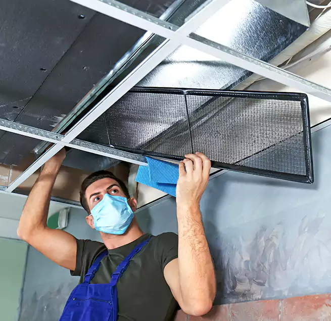 Why Homeowners Businesses Trust Us in Staten Island, NY