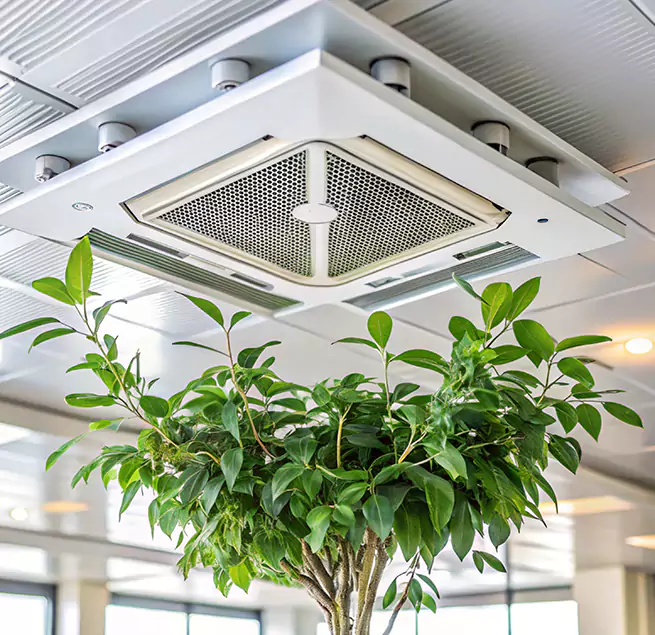 Why Homeowners & Businesses Trust Us in Staten Island, NY?