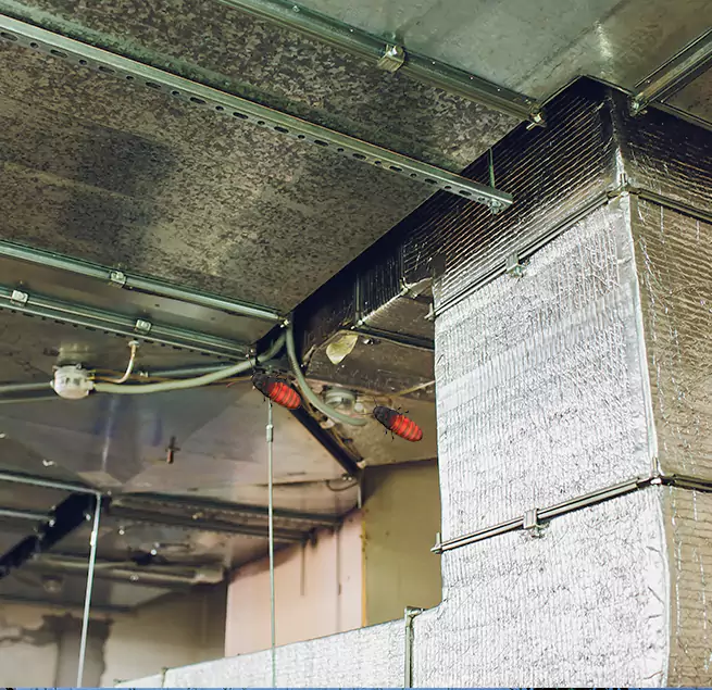 Why Homeowners & Businesses Trust Us Staten Island, NY?