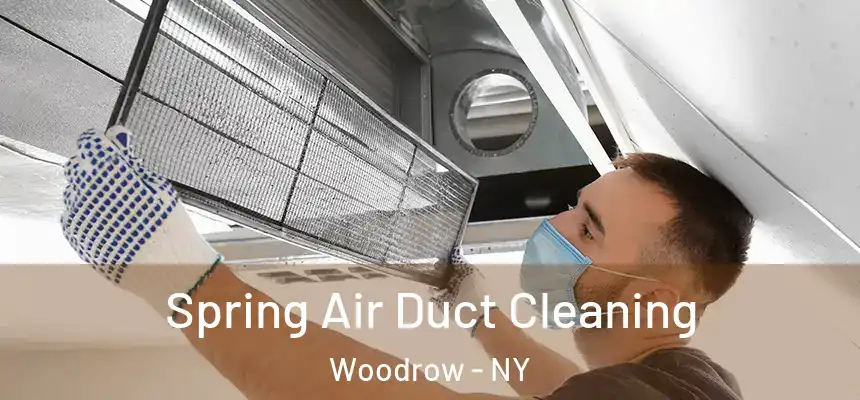 Spring Air Duct Cleaning Woodrow - NY
