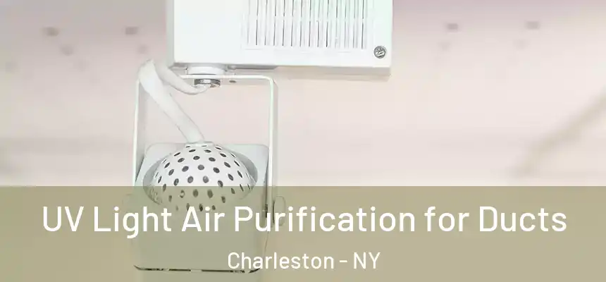 UV Light Air Purification for Ducts Charleston - NY