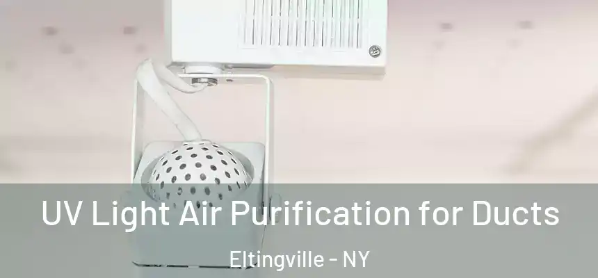 UV Light Air Purification for Ducts Eltingville - NY