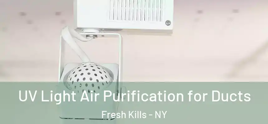  UV Light Air Purification for Ducts Fresh Kills - NY