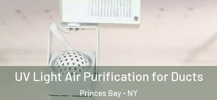 UV Light Air Purification for Ducts Princes Bay - NY