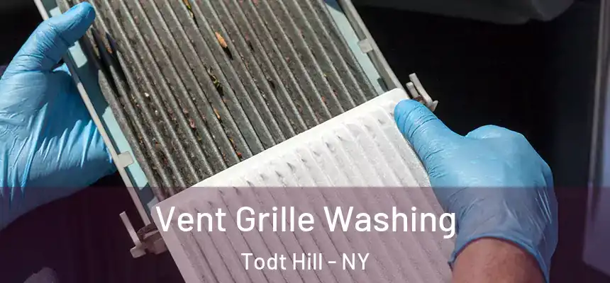 Vent Grille Washing Todt Hill - NY