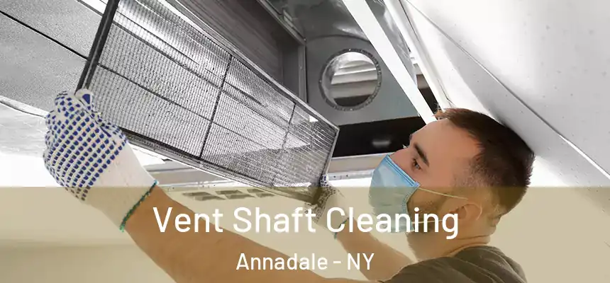  Vent Shaft Cleaning Annadale - NY