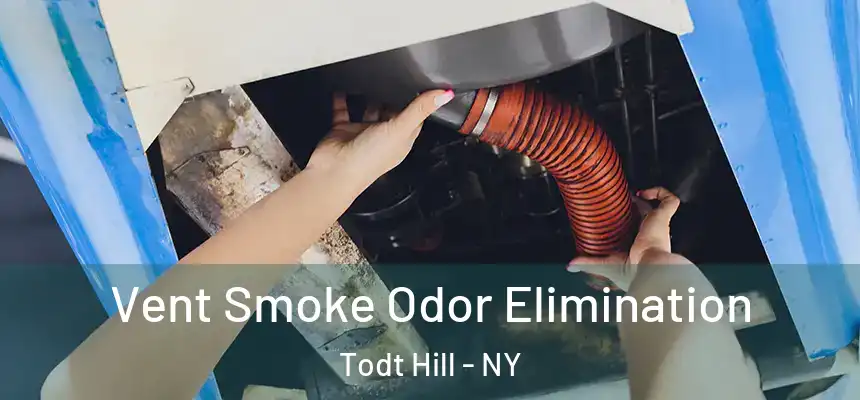  Vent Smoke Odor Elimination Todt Hill - NY