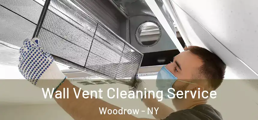Wall Vent Cleaning Service Woodrow - NY