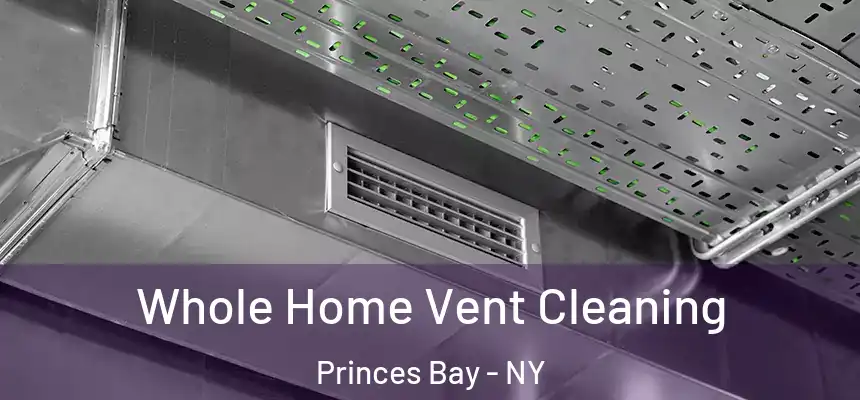 Whole Home Vent Cleaning Princes Bay - NY