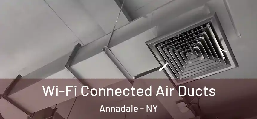  Wi-Fi Connected Air Ducts Annadale - NY